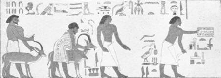 NOMADS IN EGYPT